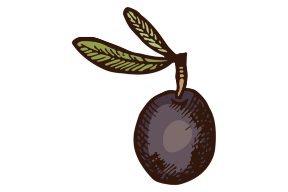 Black Olive Color Illustration: Hand-Drawn Charm for Modern Design