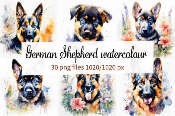German Shepherd Watercolour: A Designer's Field Guide